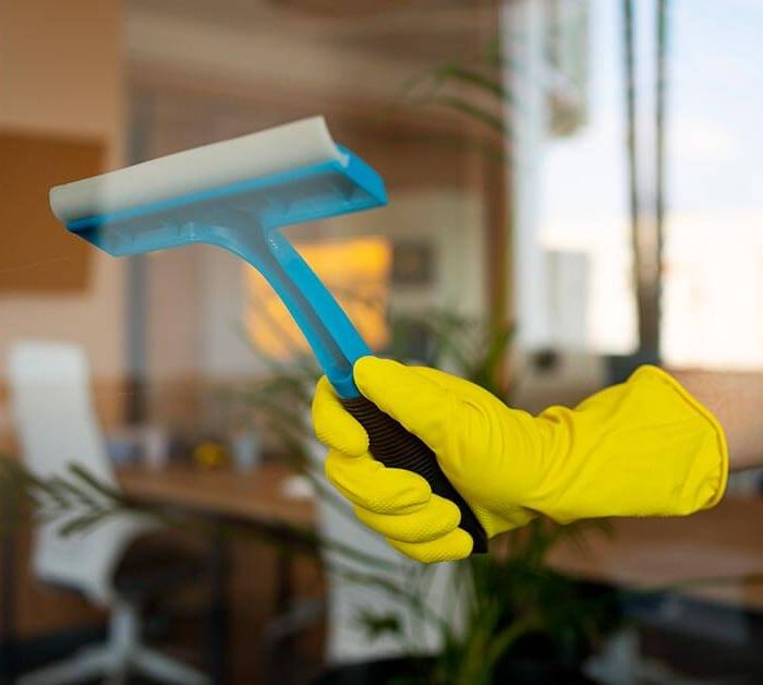 Essential Cleaning Tips to Make Your House Fresh (Demo)